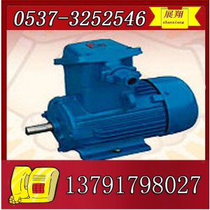 YBK2-200L1-2电机