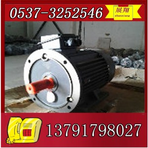 YBK2-315M-2电机