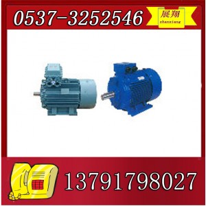 YBK2-315L1-2电机