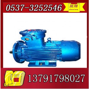 YBK2-315L2-2电机
