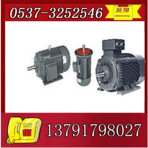 YBK2-100L1-4电机