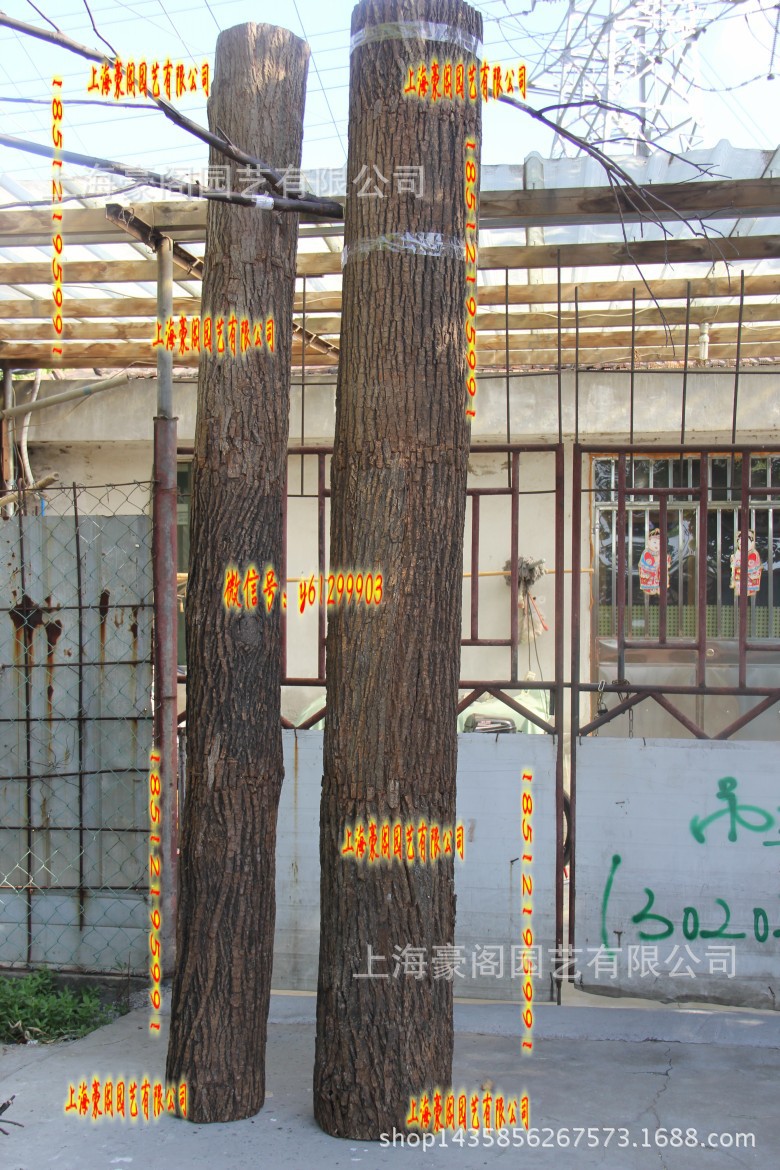 装饰道具空心假树装树墩树段真树桩真树皮高仿真假树桩